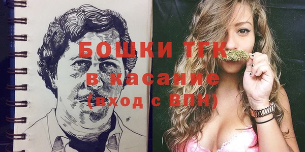 крисы Богородицк