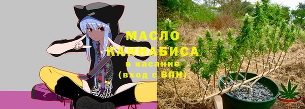 бошки Бородино