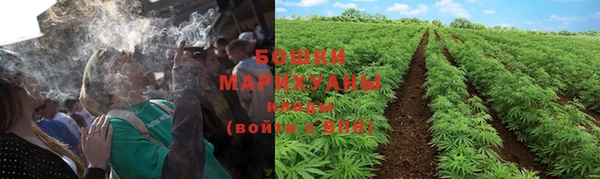 бошки Бородино