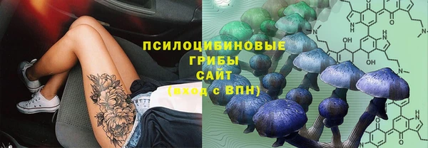 крисы Богородицк