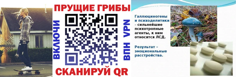 цены   Гулькевичи  Галлюциногенные грибы мицелий 